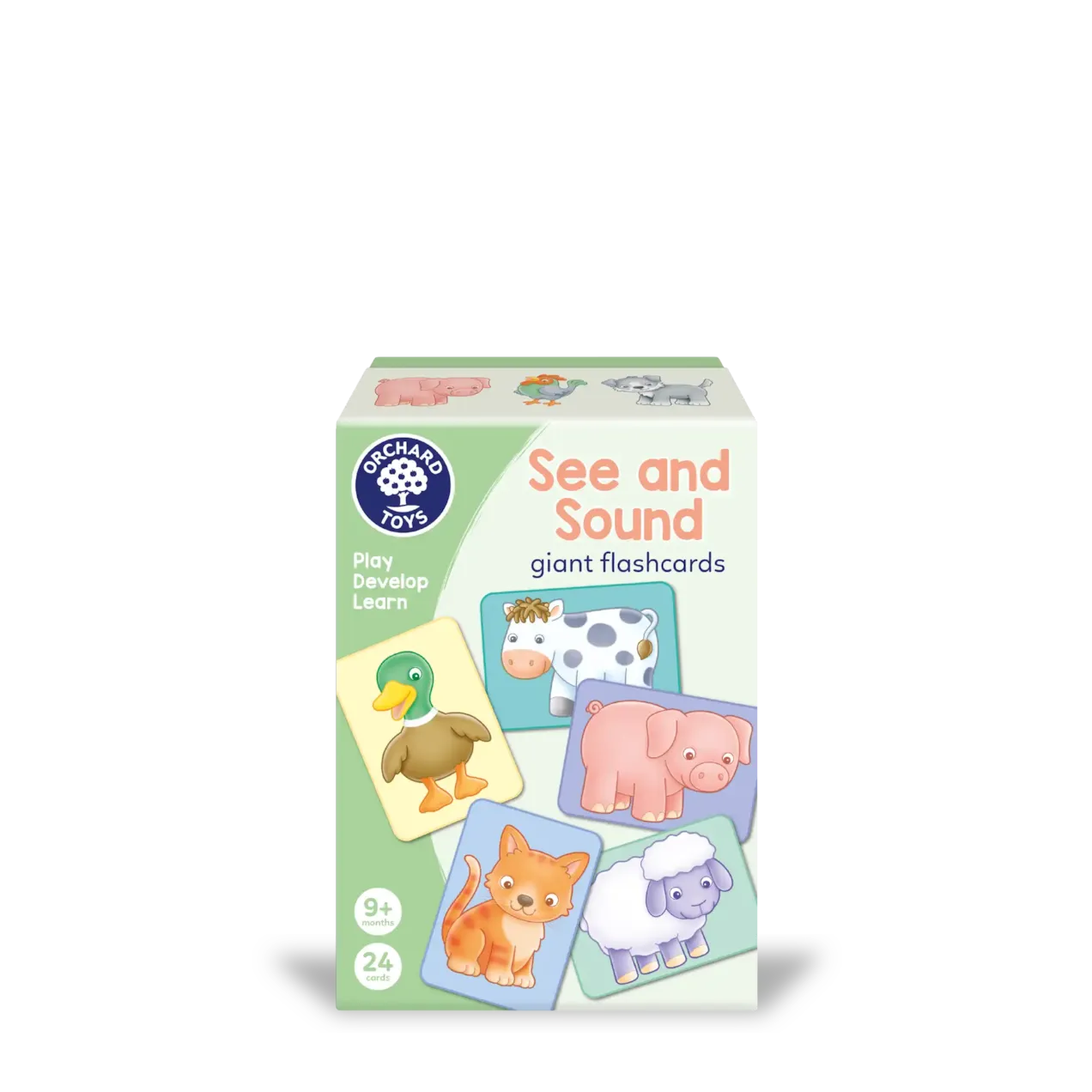 See and Sounds Giant Flashcards