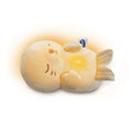 Calming Lights Otter