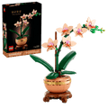 Mini Orchid