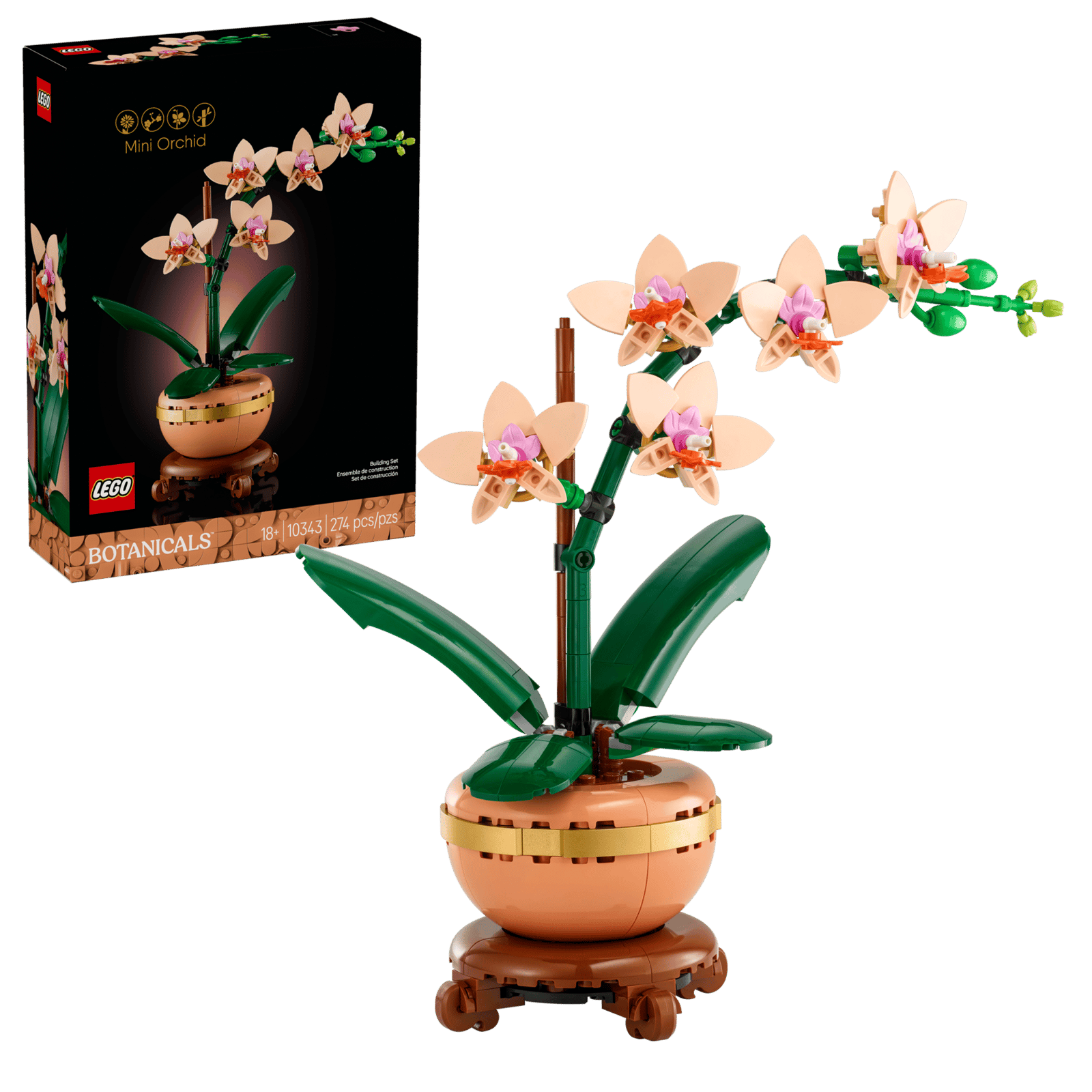 Mini Orchid