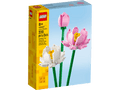 Lotus Flowers