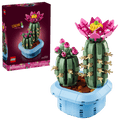 Flowering Cactus