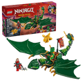 Lloyd’s Green Forest Dragon