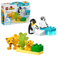 Wild Animal Families: Penguins and Lions