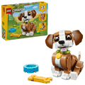 Playful Puppy