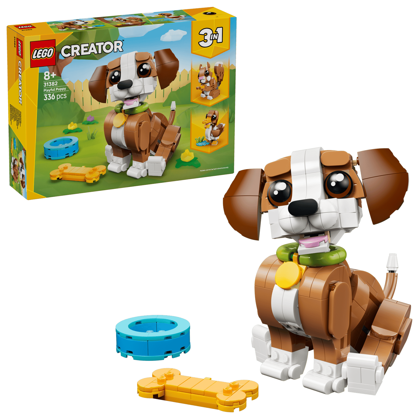 Playful Puppy