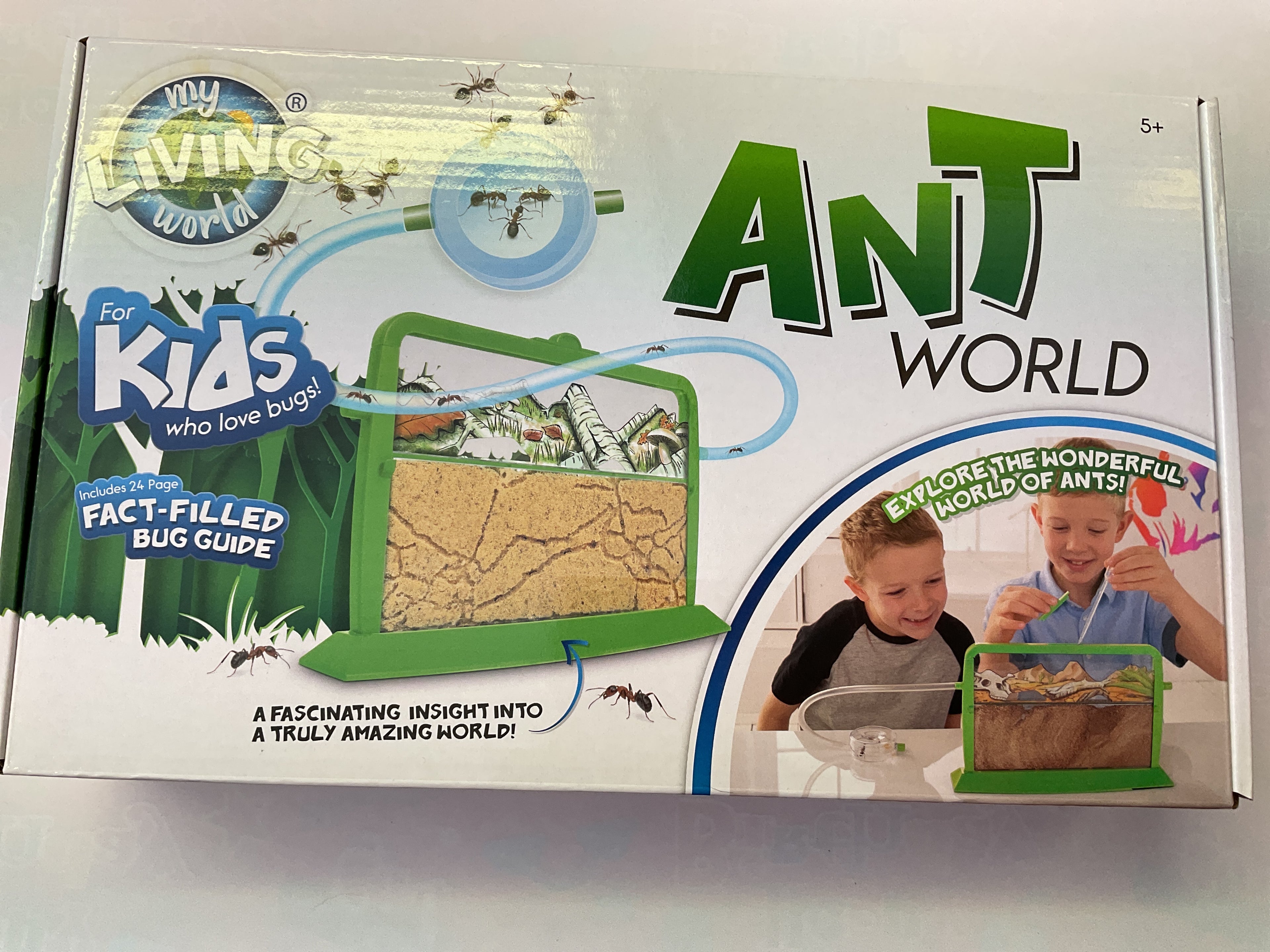 Ant World
