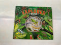 Create Your Explorer World