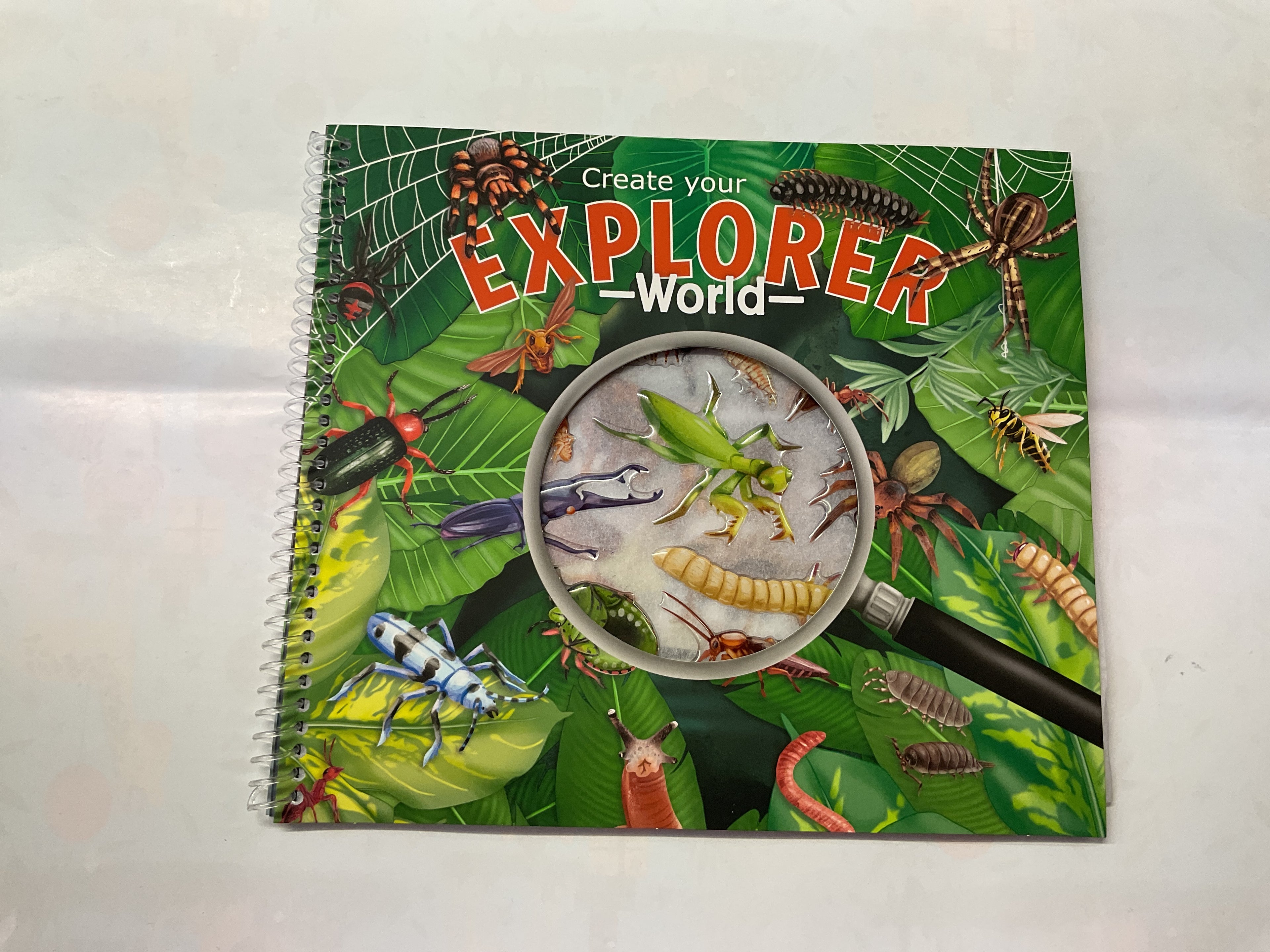 Create Your Explorer World