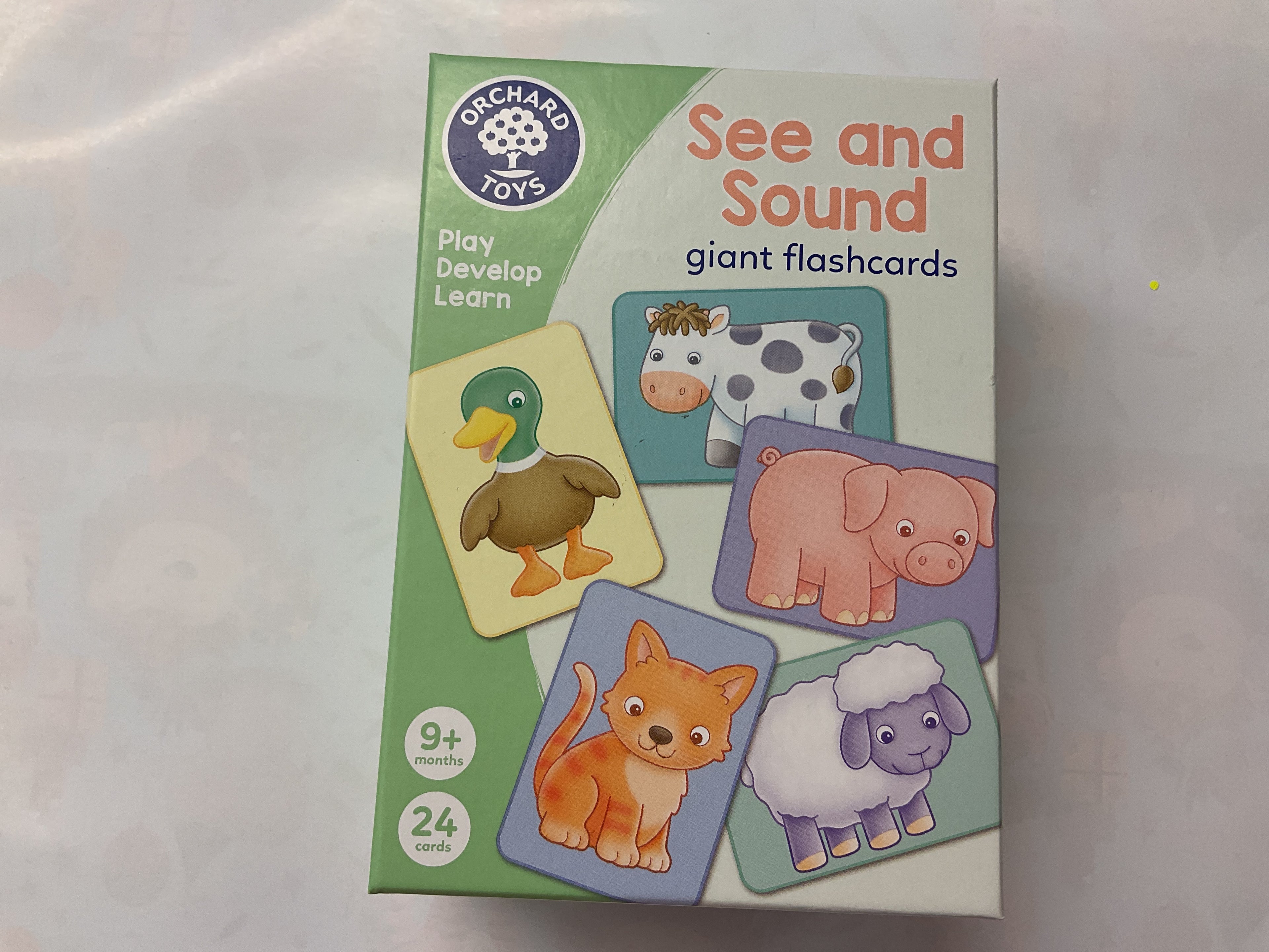 See and Sounds Giant Flashcards